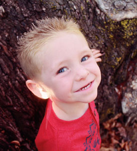 激活平台正规的DDOS网页端平台